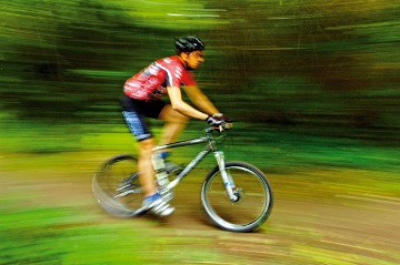 Panning Action Photo