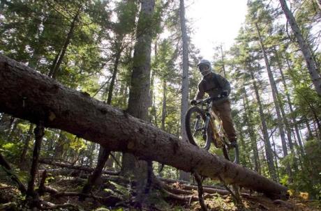 sunday river bike park