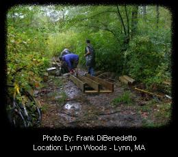 Fixing Wet Trail Sections - Lynn Woods Trail Network