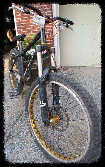 Goatbike with Golden BLING!